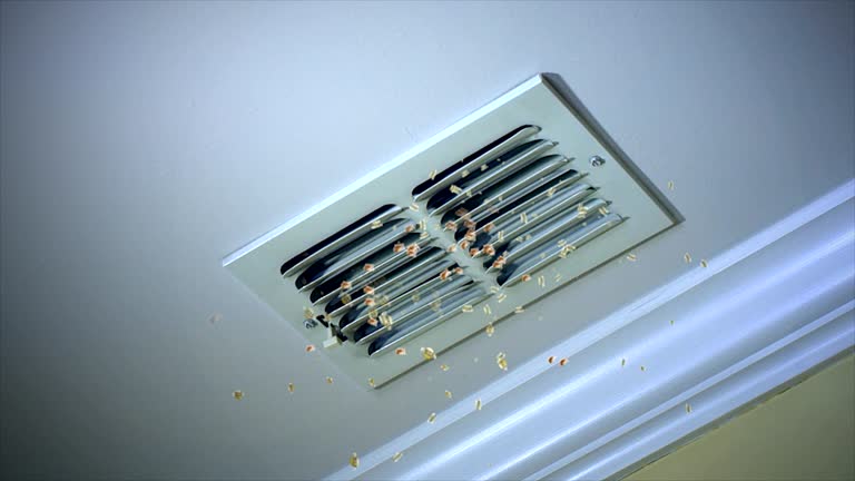 Best Air Duct Mold Removal  in Lamar, TX